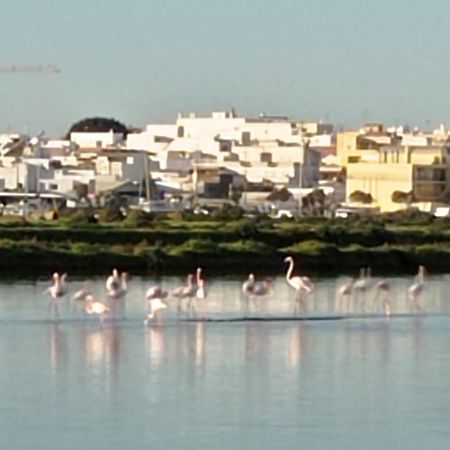 Casa Do Livramento Hotell Luz de Tavira Exteriör bild