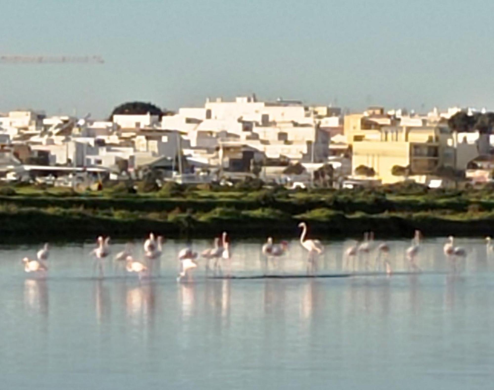Casa Do Livramento Hotell Luz de Tavira Exteriör bild